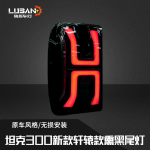 tank 300 Xuanyuan taillights