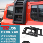 tank 300 side ladder