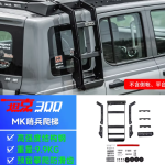 tank 300 MK Sentinel side ladder